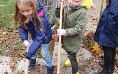 Heimische Stauden in unserem Schulgarten