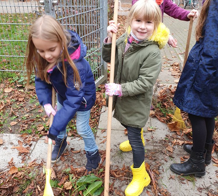 Heimische Stauden in unserem Schulgarten