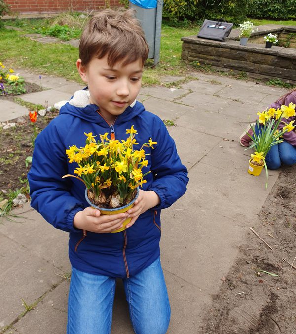 Frühblüher im Schulgarten