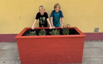 Ein Hochbeet für die Schule Forsmannstraße