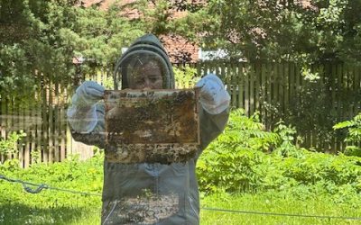 Unsere Schulbienen