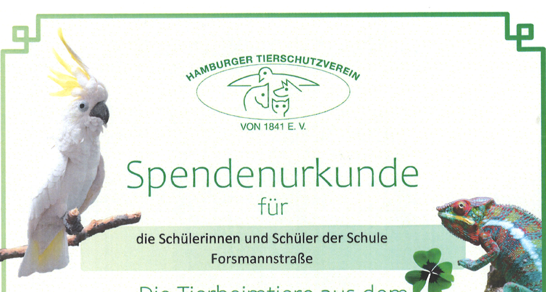 Unsere Spende für das Tierheim in der Süderstraße