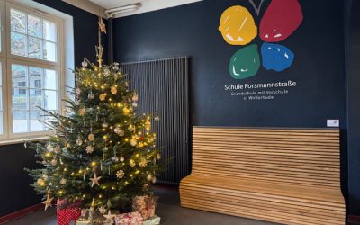 Weihnachtsbäume vom Schulverein